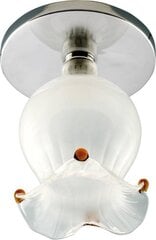 Подвесной светильник Candellux Sk-38 цена и информация | Люстры | kaup24.ee