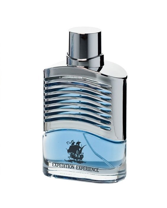 Tualettvesi Georges Mezotti Expedition Experience Silver Edition EDT meestele 100 ml hind ja info | Naiste parfüümid | kaup24.ee