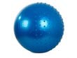 Võimlemispall, 55 cm, sinine hind ja info | Võimlemispallid | kaup24.ee