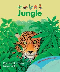 Jungle цена и информация | Книги для подростков и молодежи | kaup24.ee