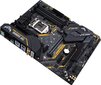 ASUS TUF Z390-PLUS GAMING WI-FI цена и информация | Emaplaadid | kaup24.ee