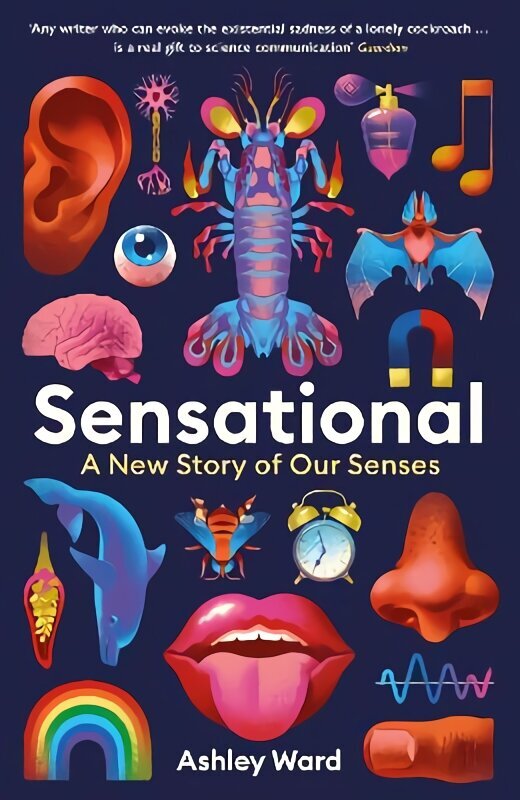 Sensational: A New Story of our Senses Main цена и информация | Entsüklopeediad, teatmeteosed | kaup24.ee