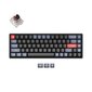 Keychron K6 Pro 65% juhtmevaba mehaaniline klaviatuur (ANSI, RGB, Hot-swap, US, Pro Brown Switch) hind ja info | Klaviatuurid | kaup24.ee