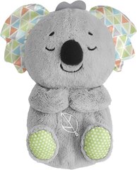 Fisher-Price HBP87 Snooze koala muusikaline mänguasi realistliku hingamisliigutusega цена и информация | Игрушки для малышей | kaup24.ee