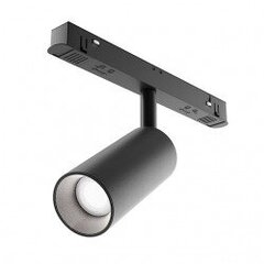 Raudteevalgustus Focus LED Maytoni Technical TR032-2-12W3K-S-B цена и информация | Монтируемые светильники, светодиодные панели | kaup24.ee