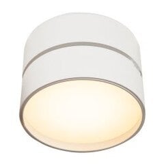 Laevalgusti Onda Maytoni Technical C024CL-L18W4K цена и информация | Потолочные светильники | kaup24.ee