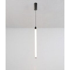Технический подвесной светильник Maytoni Ray P022PL-L10B, черный цена и информация | Потолочные светильники | kaup24.ee