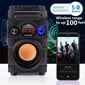 Feegar ShowJet kaasaskantav Bluetooth-kõlar 4000mah raadio hind ja info | Kõlarid | kaup24.ee