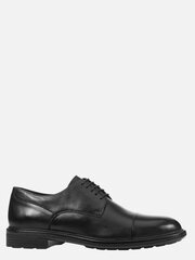 Мужские ботинки GEOX U Walk Pleasure Black 573231199 цена и информация | Мужские ботинки | kaup24.ee
