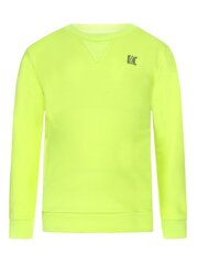 Джемпер DJ DUTCHJEANS Neon Yellow 520870166 цена и информация | Свитеры, жилетки, пиджаки для мальчиков | kaup24.ee