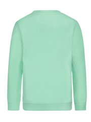 Džemper poistele DJ Dutchjeans Green 520870256 цена и информация | Кофточки, джемперы, пиджаки для младенцев | kaup24.ee