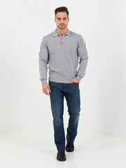 Свитер для мужчин Storgio, серый цена и информация | Мужские свитера | kaup24.ee