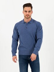 Свитер для мужчин Storgio, синий цена и информация | Мужские свитера | kaup24.ee