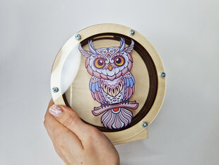 Värviline puidust hoiupõrsas pleksiklaasil mustriga “Owl” hind ja info | Originaalsed rahakassad | kaup24.ee