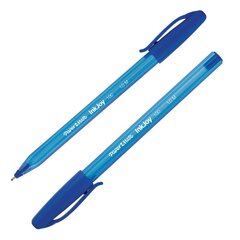 Värvilised pliiatsid Ink Joy 100, 12 tk hind ja info | Kirjutusvahendid | kaup24.ee