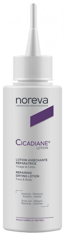 Näo- ja ihupiim Noreva Cicadiane Repairing Drying Lotion, 100 ml цена и информация | Näokreemid | kaup24.ee