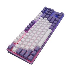 Dark Project One KD87A Violet-White, G3MS Sapphire Switch, US цена и информация | Клавиатура с игровой мышью 3GO COMBODRILEW2 USB ES | kaup24.ee