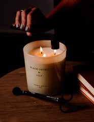 Ароматическая свеча Cereria Molla Black Orchid & Lilly, 600 г цена и информация | Подсвечники, свечи | kaup24.ee