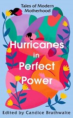 Hurricanes in Perfect Power: Tales of Modern Motherhood цена и информация | Комиксы | kaup24.ee