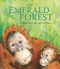 Emerald Forest цена и информация | Книги для малышей | kaup24.ee