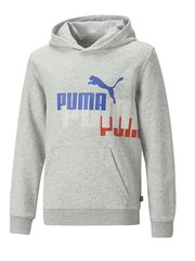 Детская толстовка PUMA Ess Logo Power Light Gray 234236661 цена и информация | Свитеры, жилетки, пиджаки для мальчиков | kaup24.ee