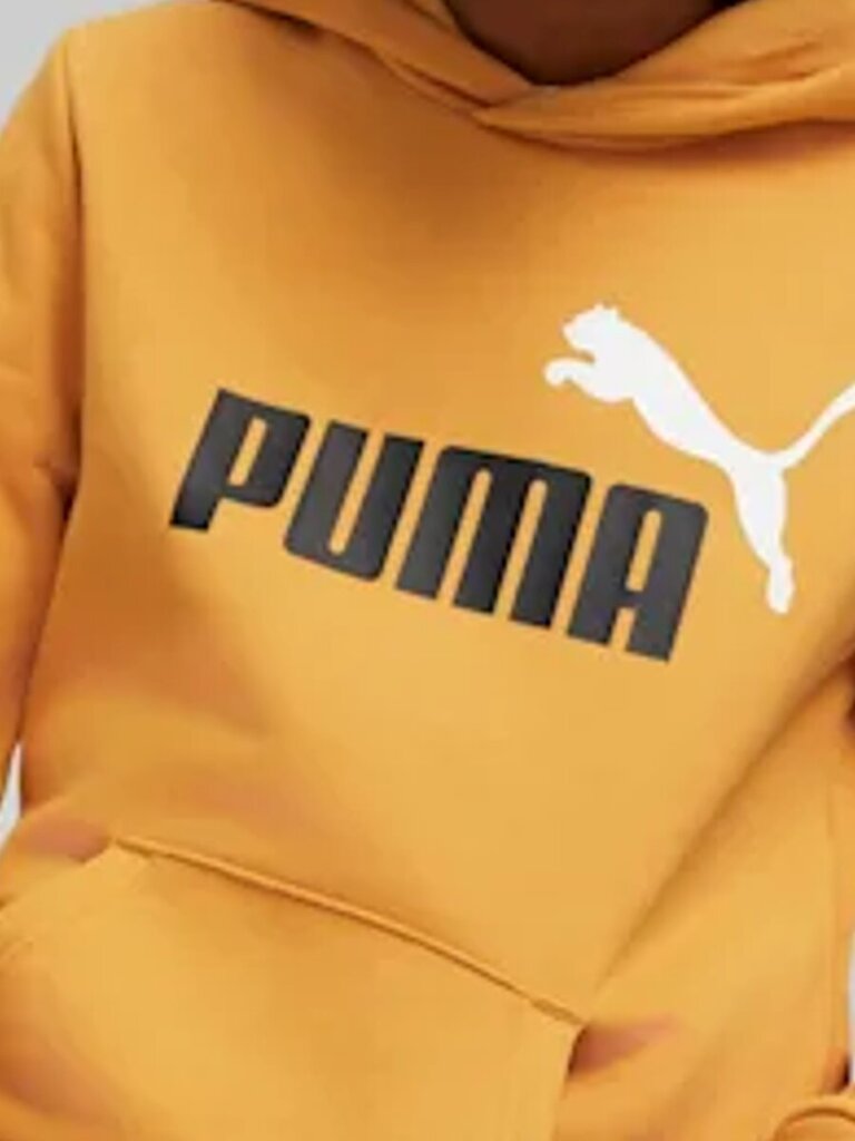 Puma kampsun poistele Desert hind ja info | Poiste kampsunid, vestid ja jakid | kaup24.ee