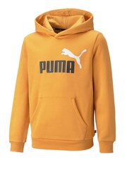 Puma kampsun poistele Desert hind ja info | Poiste kampsunid, vestid ja jakid | kaup24.ee