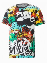 Puma Graffiti Tee 234237487 цена и информация | Мужские футболки | kaup24.ee