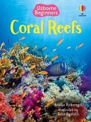 Coral Reefs цена и информация | Книги для детей | kaup24.ee
