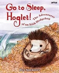 Go To Sleep, Hoglet цена и информация | Книги для малышей | kaup24.ee