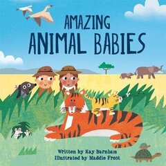 Look and Wonder: Amazing Animal Babies цена и информация | Книги для малышей | kaup24.ee