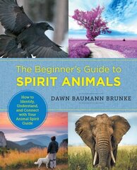 Beginner's Guide to Spirit Animals: How to Identify, Understand, and Connect with Your Animal Spirit Guide цена и информация | Самоучители | kaup24.ee