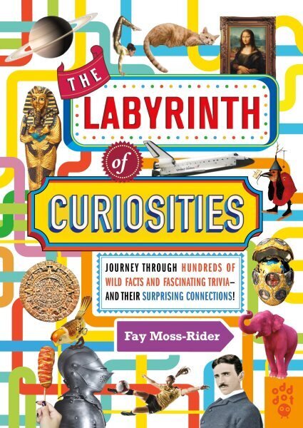Labyrinth of Curiosities: Journey Through Hundreds of Wild Facts and Fascinating Trivia and Their Surprising Connections! цена и информация | Tervislik eluviis ja toitumine | kaup24.ee