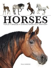 Horses цена и информация | Энциклопедии, справочники | kaup24.ee