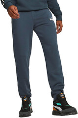 Спортивные штаны для мужчин Puma Ess Logo Pants Tr Blue 586717 61, синий цена и информация | Мужская спортивная одежда | kaup24.ee