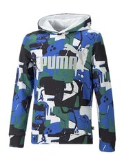 Детская толстовка PUMA Ess Street  Art  Aop Multicolor 234236673 цена и информация | Свитеры, жилетки, пиджаки для мальчиков | kaup24.ee