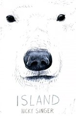 Island цена и информация | Книги для подростков и молодежи | kaup24.ee