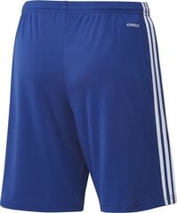 Meeste lühikesed püksid Adidas Squadra 21 GK9153, sinine цена и информация | Футбольная форма и другие товары | kaup24.ee