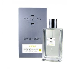 Духи для тела Antoine Cedre EDT, 100 мл цена и информация | Мужские духи | kaup24.ee