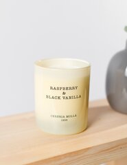 Lõhnaküünal Cereria Molla Raspberry&Black Vanilla, 250g цена и информация | Подсвечники, свечи | kaup24.ee