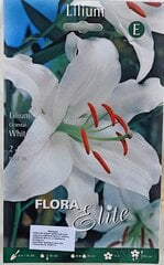 Восточные лилии, белые, 2 шт. цена и информация | Луковицы цветов | kaup24.ee