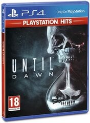 Until Dawn RUS/ENG PS4 цена и информация | Компьютерные игры | kaup24.ee