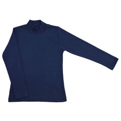 Kõrge kaelusega pluus цена и информация | Рубашки для мальчиков | kaup24.ee