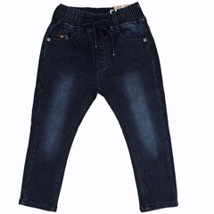 Poiste soojad teksad, sinine hind ja info | Poiste püksid | kaup24.ee