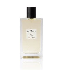 Antoine Intense hind ja info | Meeste parfüümid | kaup24.ee