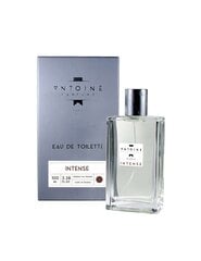 Духи для тела Antoine Intense EDT, 100 мл цена и информация | Мужские духи | kaup24.ee