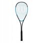 Squashi reket Wilson Ultra 300 204 g цена и информация | Squash | kaup24.ee