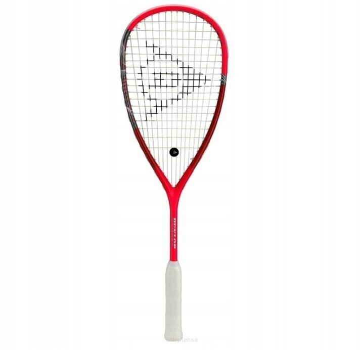 Squashi reket Dunlop Tempo Pro 160 g цена и информация | Squash | kaup24.ee