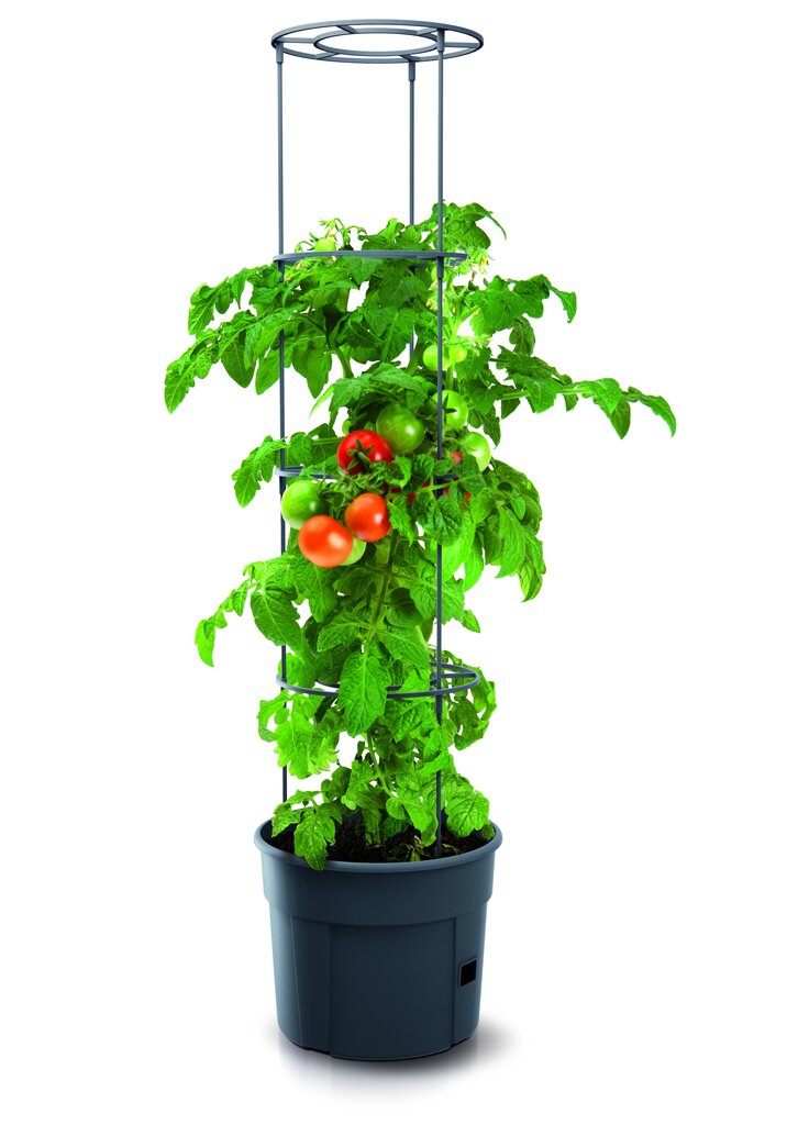 Pott tomatitele Ipom300 24 cm цена и информация | Dekoratiivsed lillepotid | kaup24.ee