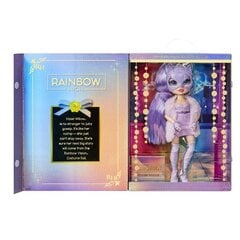 Rainbow Vision Costume Ball – Violet Willow цена и информация | MUST Металлическая бутылочка с Ярким рисунком (без BPA) (500ml) для мальчиков от 3+ лет Серая с Машинкой | kaup24.ee